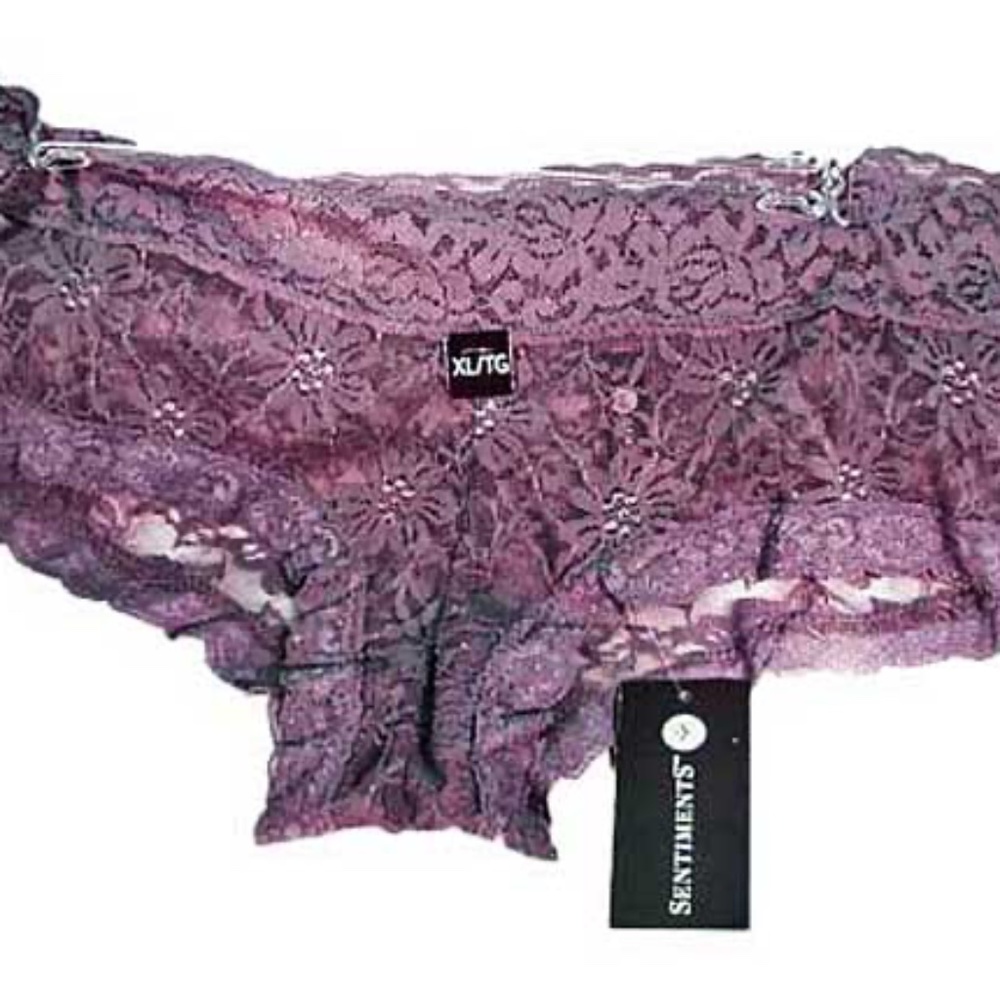PANTIES, LADIES X-LARGE, BLUE-GRAY, BIKINI FULL LACE, STRETCHY, 5% SPANDEX,